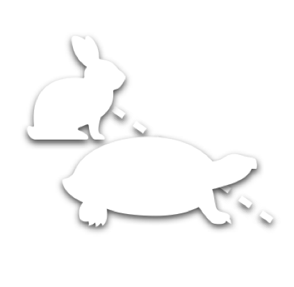 turtle hare